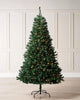 The Christmas Tree | Slimmer Leven!