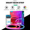 Neonspectra ™ - Smart Neonstrip with color variations